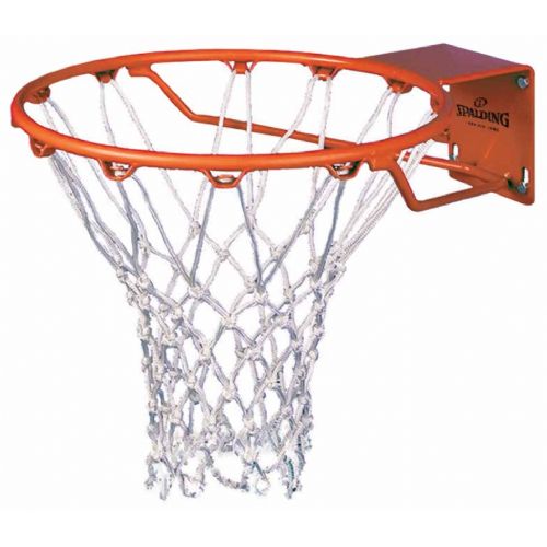 Spalding Roughneck Gorilla Basketball Goal
